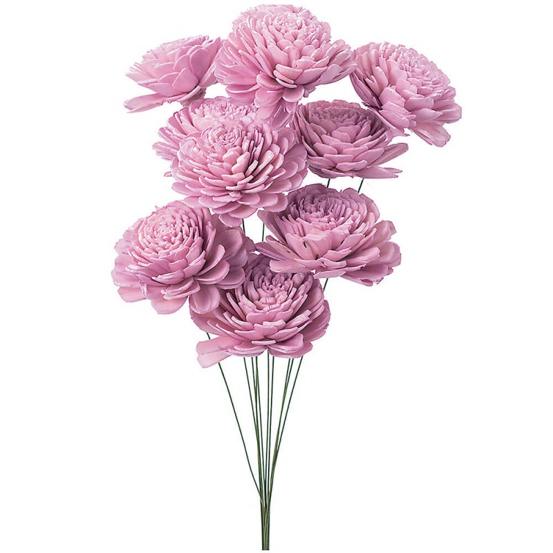 �����顼����������ˡ����ꥹ����ԥ󥯡��ϥ�ɥᥤ�ɥե���DO032083-110�ڥɥ饤�ե���