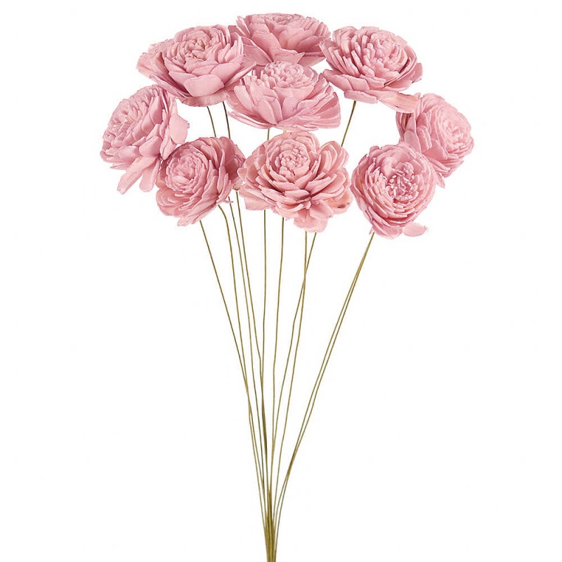 �����顼�������ʾ��ˡ����ꥹ����ԥ󥯡��ϥ�ɥᥤ�ɥե���DO032081-110�ڥɥ饤�ե���