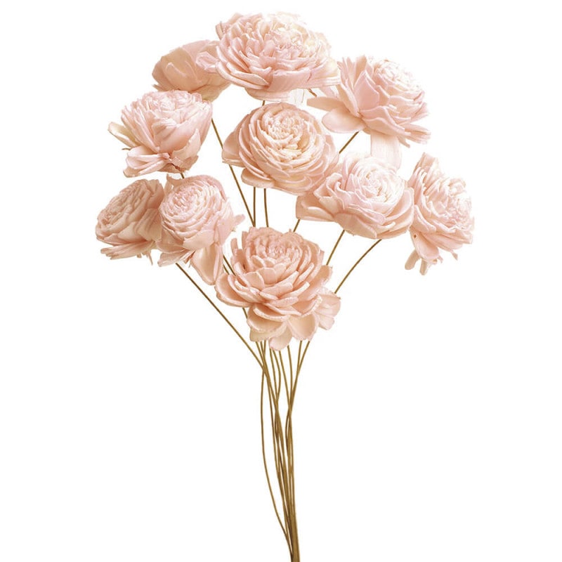 �����顼�������ʾ��ˡ����󥸥���ԥ󥯡��ϥ�ɥᥤ�ɥե���DO032081-141�ڥɥ饤�ե���