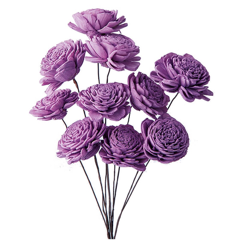 �����顼�������ʾ��ˡ��饤�ȥѡ��ץ롡�ϥ�ɥᥤ�ɥե���DO032081-410�ڥɥ饤�ե���