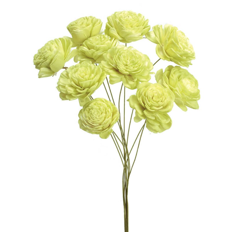 �����顼�������ʾ��ˡ����󥸥��륰�꡼�󡡥ϥ�ɥᥤ�ɥե���DO032081-741�ڥɥ饤�ե���