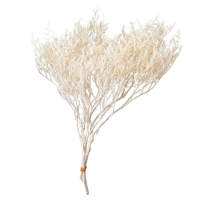 ꥫեۥ磻ȡDO002010-011ڥɥ饤ե