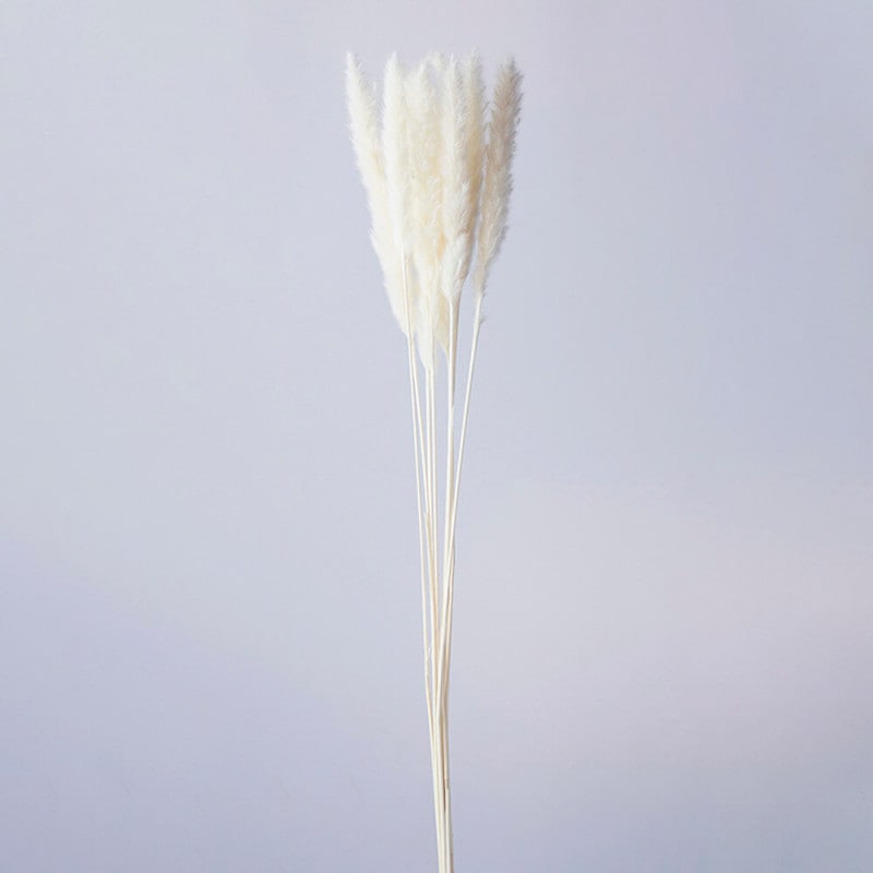 �ơ���꡼�ɡ��ۥ磻�ȡ�DO051340-011�ڥɥ饤�ե���