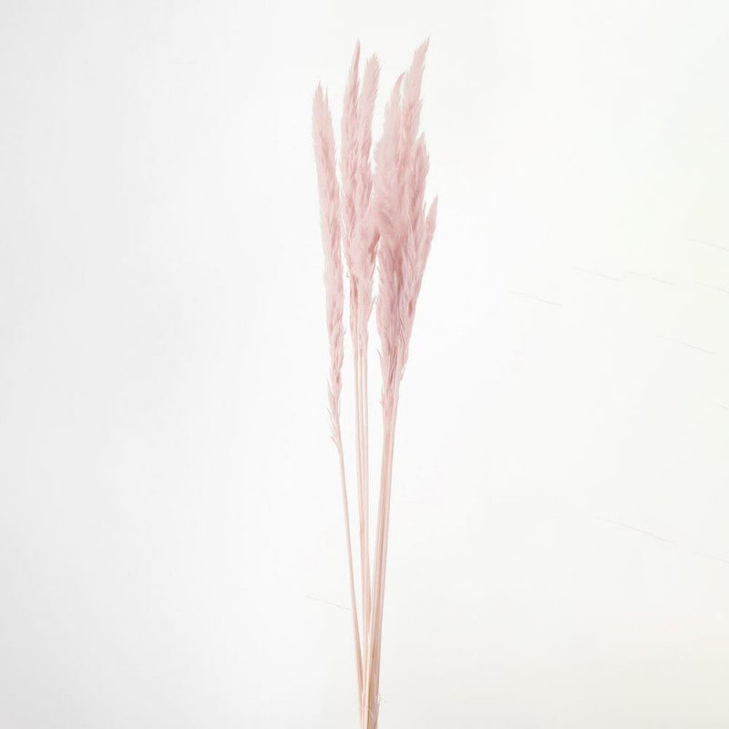 �ơ���꡼�ɡ��ԥ󥯥١����塡DO051340-081�ڥɥ饤�ե���