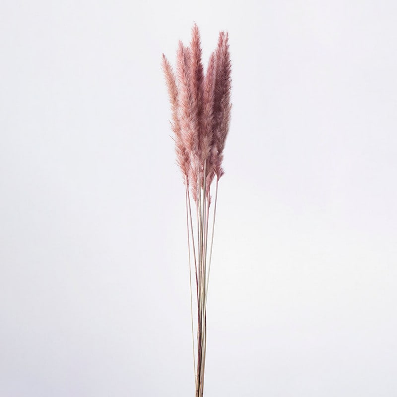 �ơ���꡼�ɡ��⡼�֥ԥ󥯡�DO051340-190�ڥɥ饤�ե���