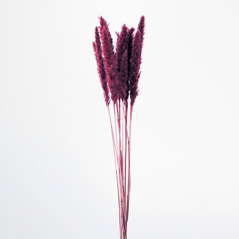 �ơ���꡼�ɡ��磻���åɡ�DO051340-470�ڥɥ饤�ե���