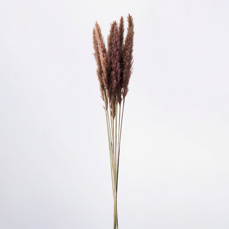 �ơ���꡼�ɡ��֥饦��DO051340-860�ڥɥ饤�ե���