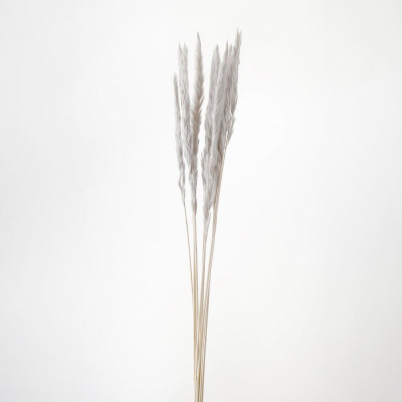 �ơ���꡼�ɡ��ѡ��륰�졼��DO051340-871�ڥɥ饤�ե���