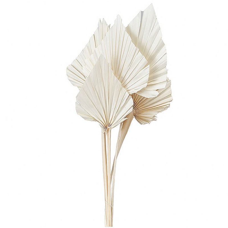 �ѡ��ॹ�ڡ��ɡ����եۥ磻�ȡ�DO054060-011�ڥɥ饤�ե���