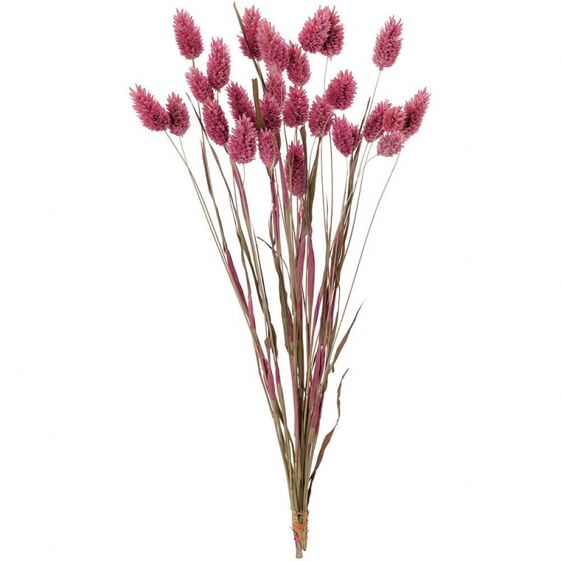 �ݥ��ץ��ġ����饷�å��ԥ󥯡�DO042020-130�ڥɥ饤�ե���