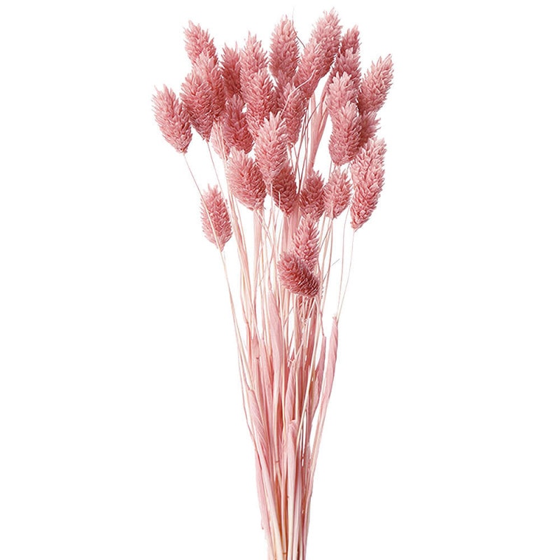 �ݥ��ץ��ġ����饦�ɥԥ󥯡�DO042020-191�ڥɥ饤�ե���