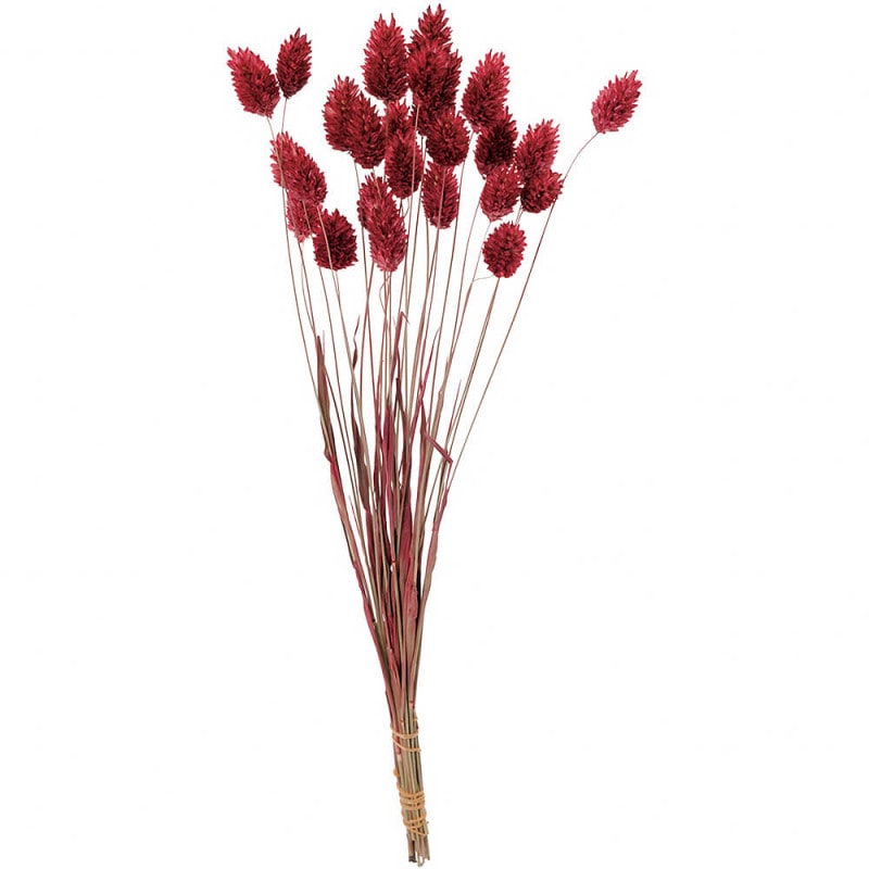 �ݥ��ץ��ġ����饷�å���������DO042020-230�ڥɥ饤�ե���