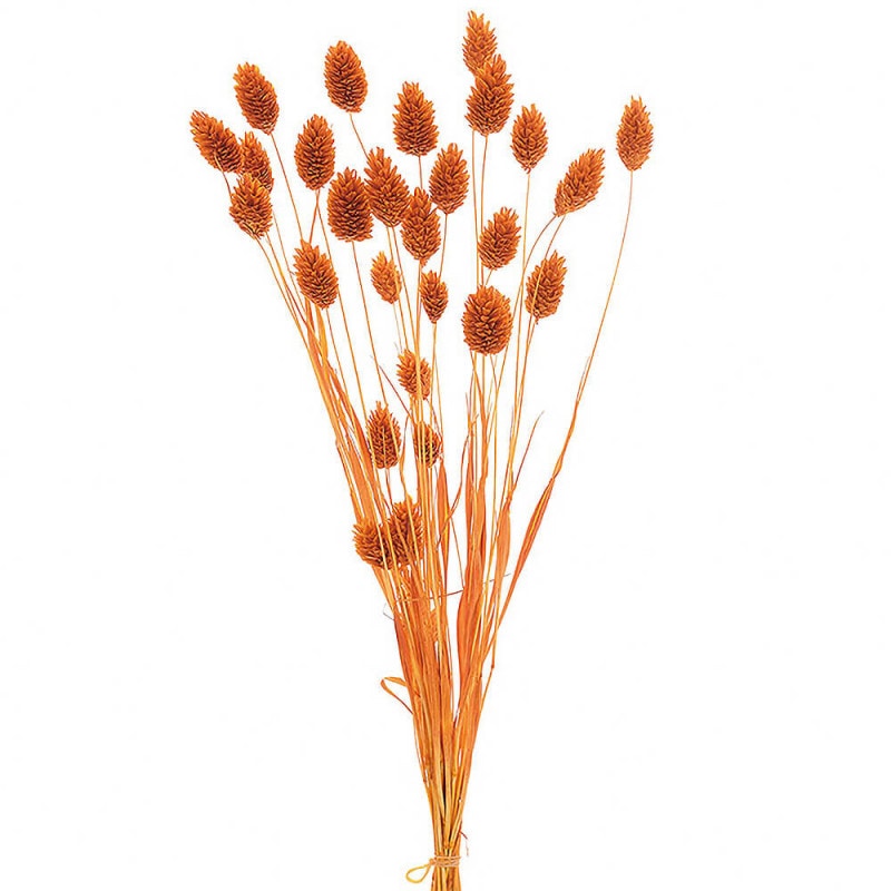 �ݥ��ץ��ġ�����󥸡�DO042020-351�ڥɥ饤�ե���