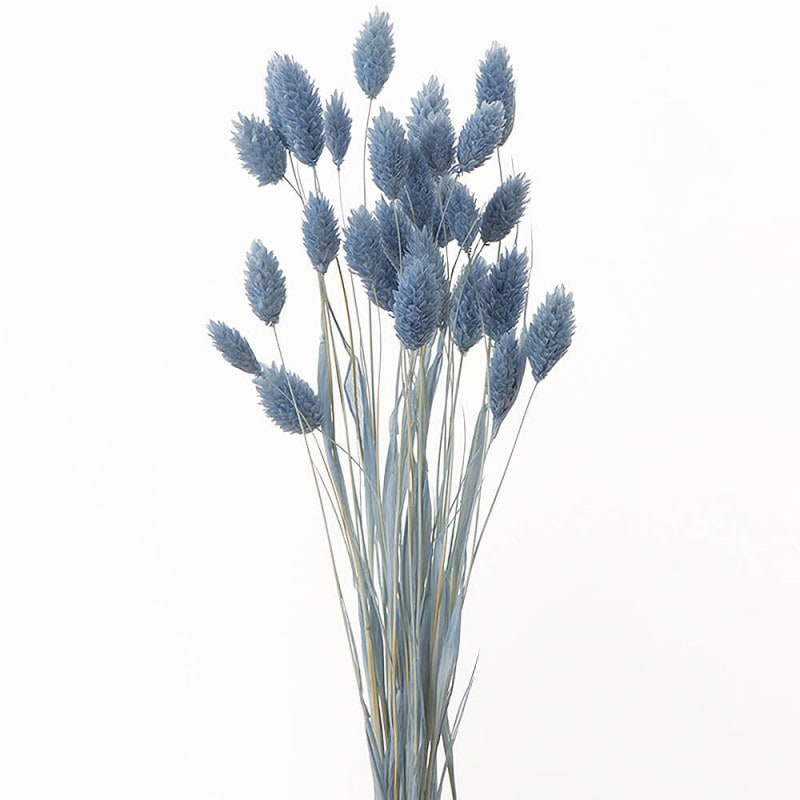 �ݥ��ץ��ġ������������֥롼��DO042020-691�ڥɥ饤�ե���