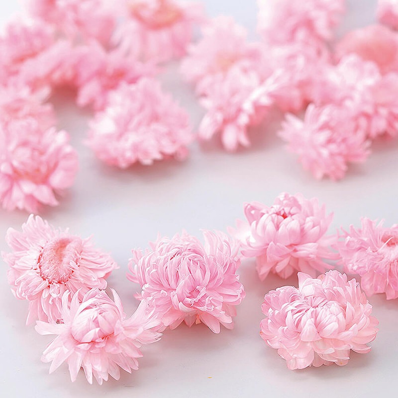 �إꥯ�ꥵ�ࡦ�إåɡ��ԥ󥯡�DO032130-101�ڥɥ饤�ե���