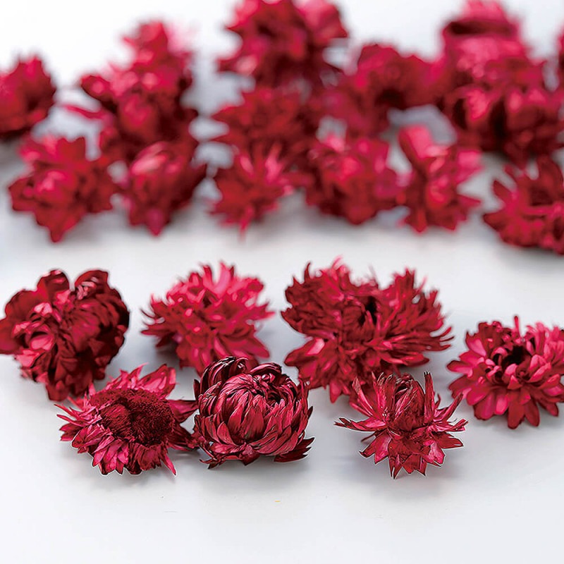 �إꥯ�ꥵ�ࡦ�إåɡ��磻���åɡ�DO032130-471�ڥɥ饤�ե���