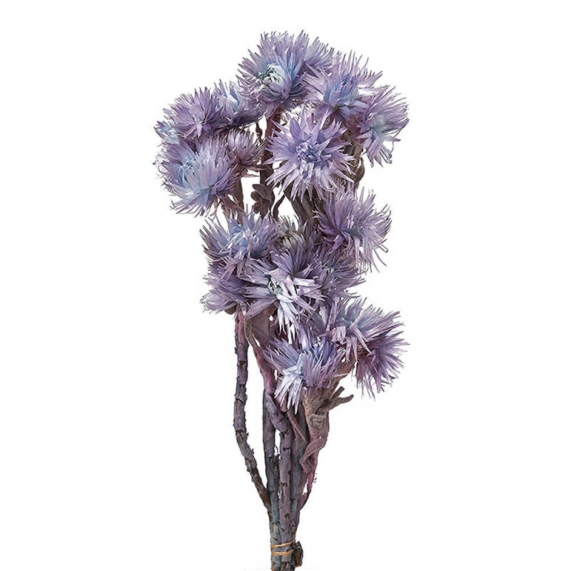 ����С��ǡ��������֥롼�ѡ��ץ롡DO032000-642�ڥɥ饤�ե���