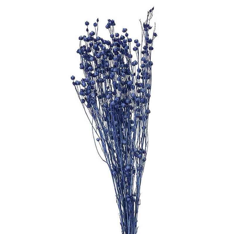 リンフラワー ホワイト DO035010-011【ドライフラワー】通販｜GREEN PIECE