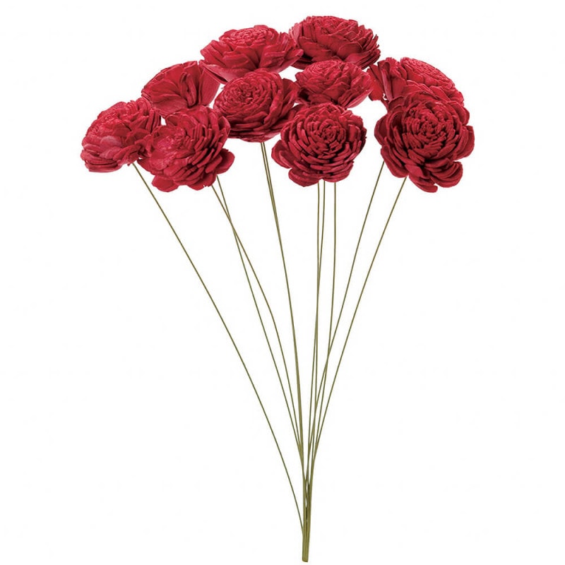 �����顼�������ʾ��ˡ���åɡ��ϥ�ɥᥤ�ɥե���FD032081-003�ڥɥ饤�ե���