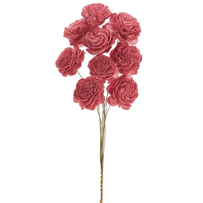 �����顼�������ʾ��ˡ��ե��ܥ�����ϥ�ɥᥤ�ɥե���FD032081-210�ڥɥ饤�ե���