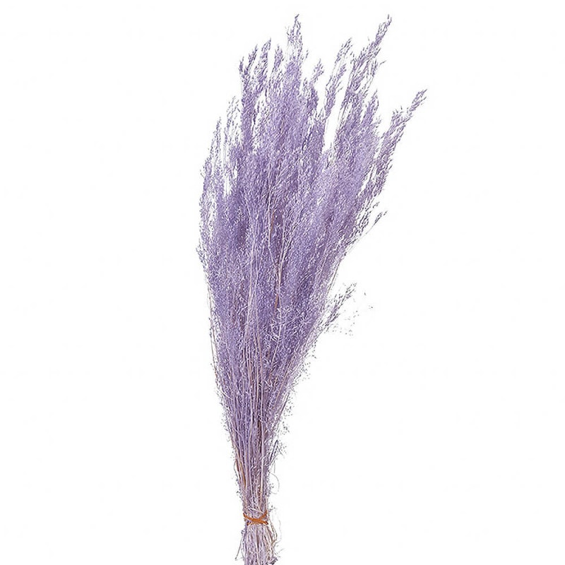 ���������ƥ�������٥������DT076103�ڥɥ饤�ե���