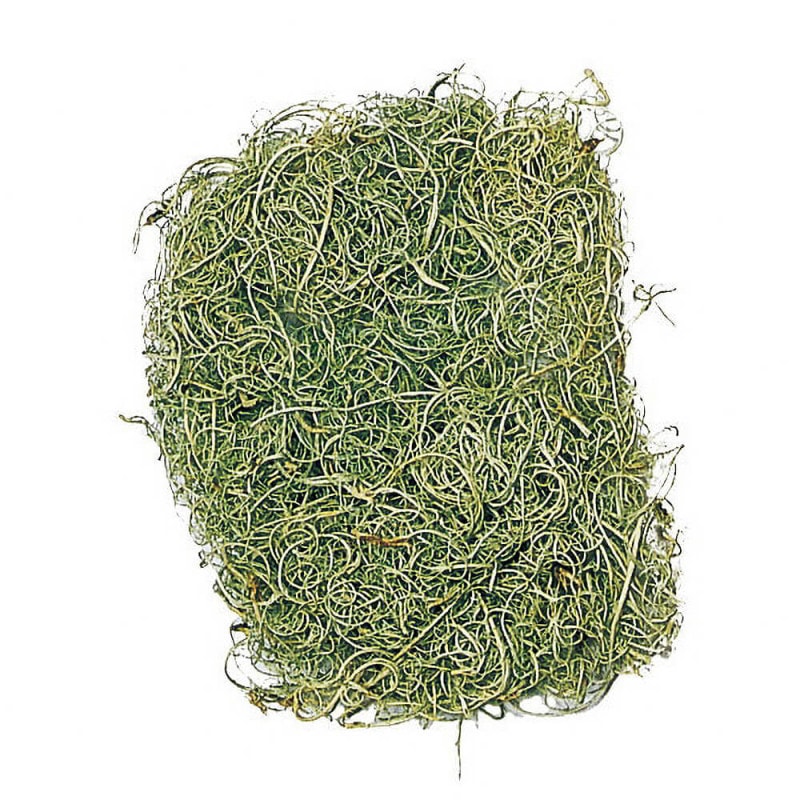 �����꡼�⥹�����ޡ����꡼��DO061180-700�ڥɥ饤�ե���