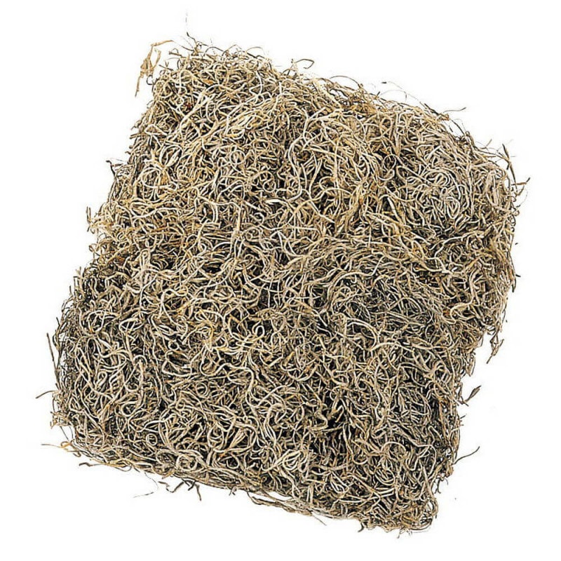 ���ѥ˥å���⥹�����ޡ��ʥ����롡DO061061-000�ڥɥ饤�ե���