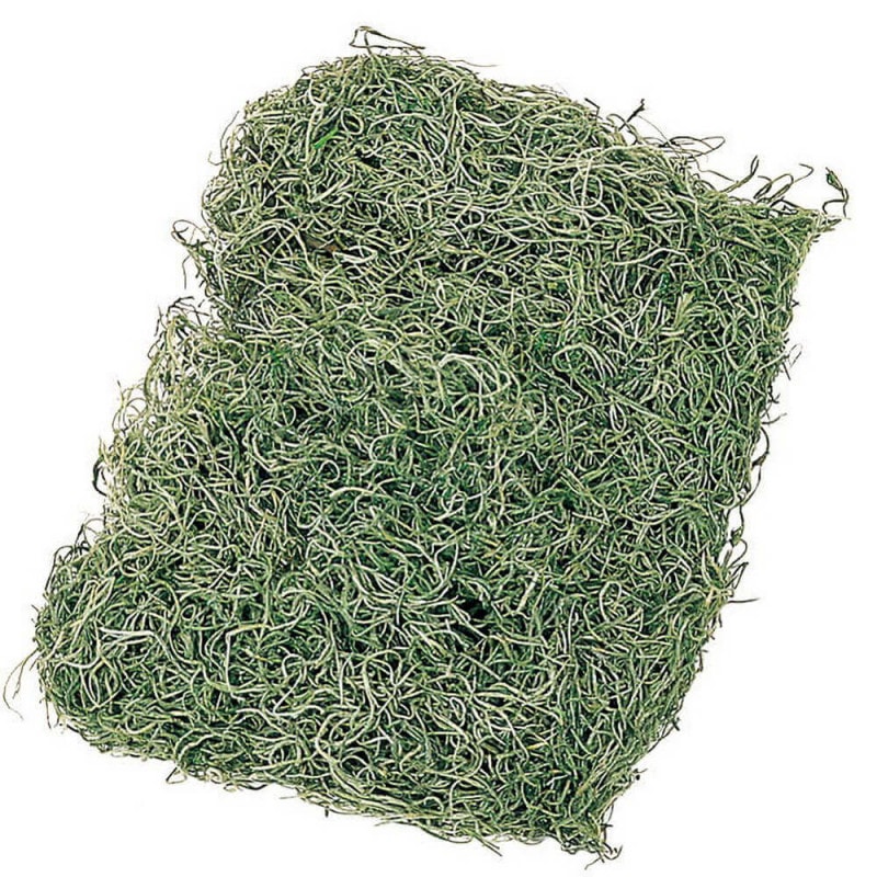 ���ѥ˥å���⥹�����ޡ����꡼��DO061061-700�ڥɥ饤�ե���