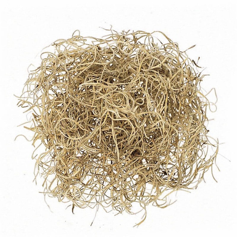 ���ѥ˥å���⥹���ץ����͡��ʥ����롡DO061067-000�ڥɥ饤�ե���