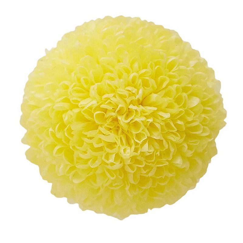 �ݥ�ݥ�ơ��ߥǥ������⡼�˥󥰥���������9�ء��������ࡡDO002646-501�ڥץꥶ���֥ɥե���