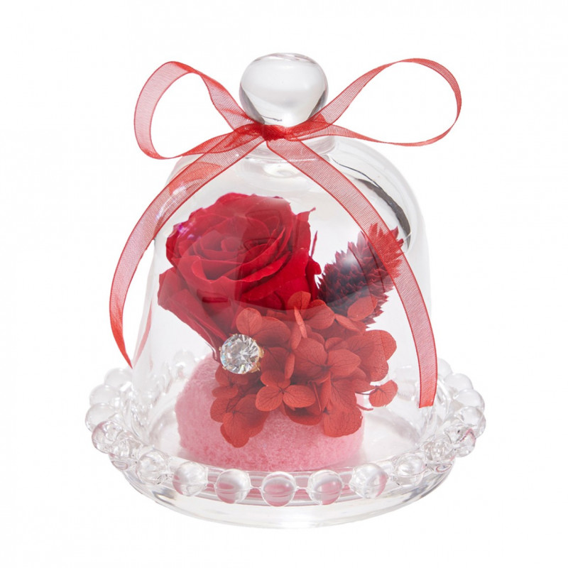 ����ƥߥ��ɡ��ࡡ��åɡ�ZY000500-003�ڥץꥶ���֥ɥե���