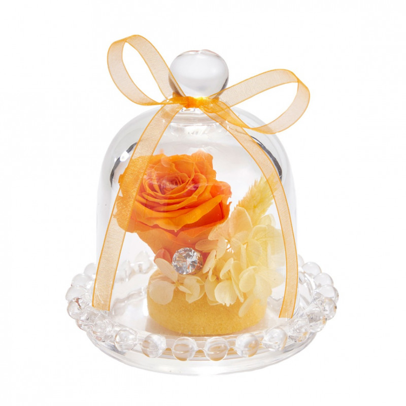 ����ƥߥ��ɡ��ࡡ����������ZY000500-004�ڥץꥶ���֥ɥե���