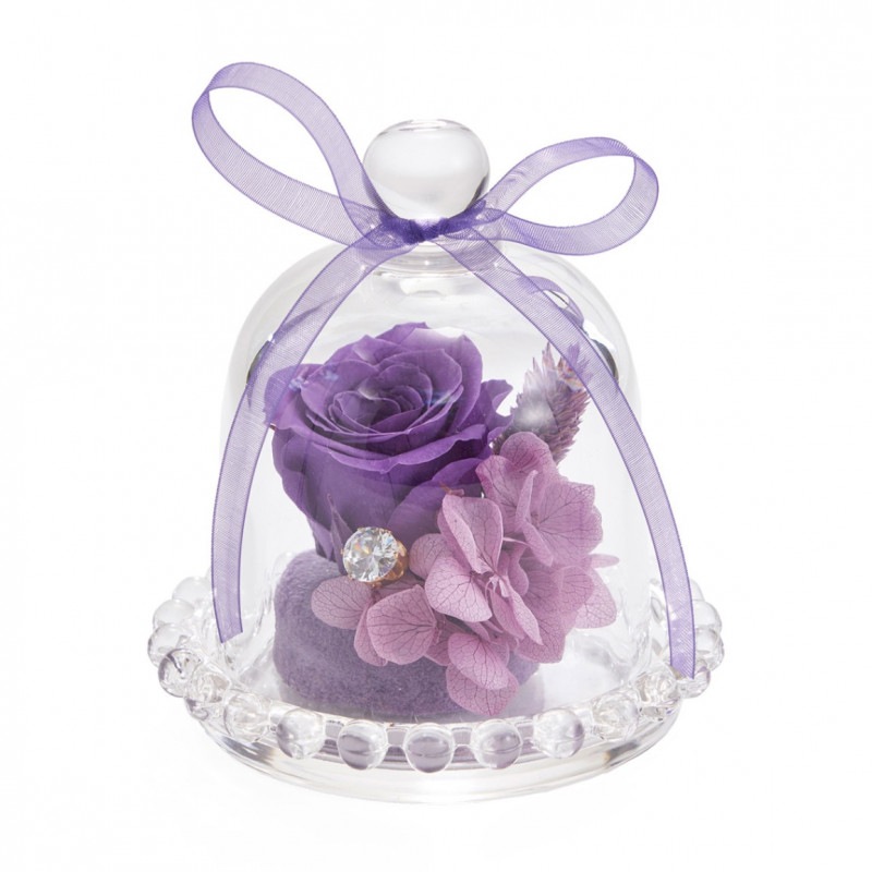 ����ƥߥ��ɡ��ࡡ�ѡ��ץ롡ZY000500-017�ڥץꥶ���֥ɥե���