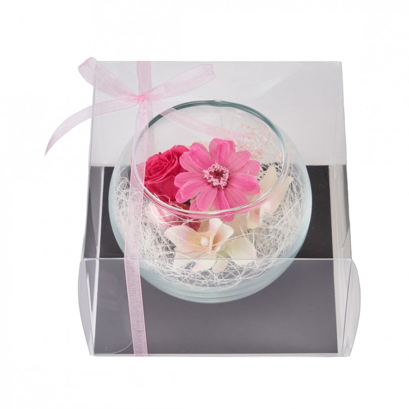 ����ԥ��ܡ��롡�ԥ󥯡�ZY000503-002�ڥץꥶ���֥ɥե���