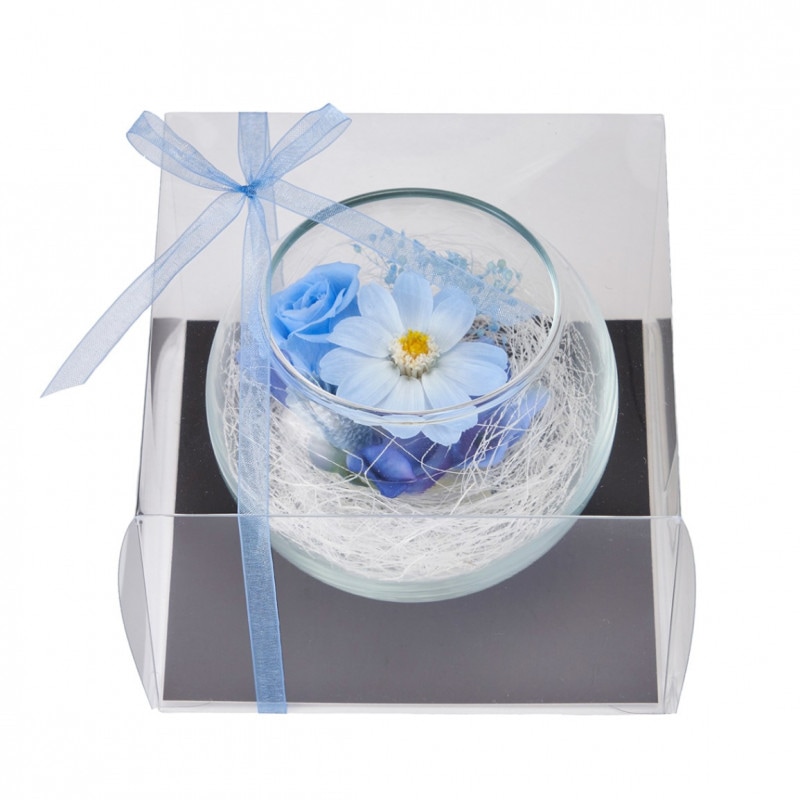 ����ԥ��ܡ��롡�֥롼��ZY000503-010�ڥץꥶ���֥ɥե���