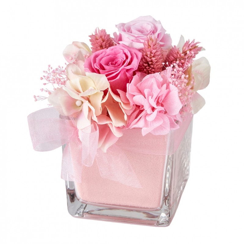 ���ݥ��󥭥塼�� U���ԥ󥯡�ZY050100-002�ڥץꥶ���֥ɥե���