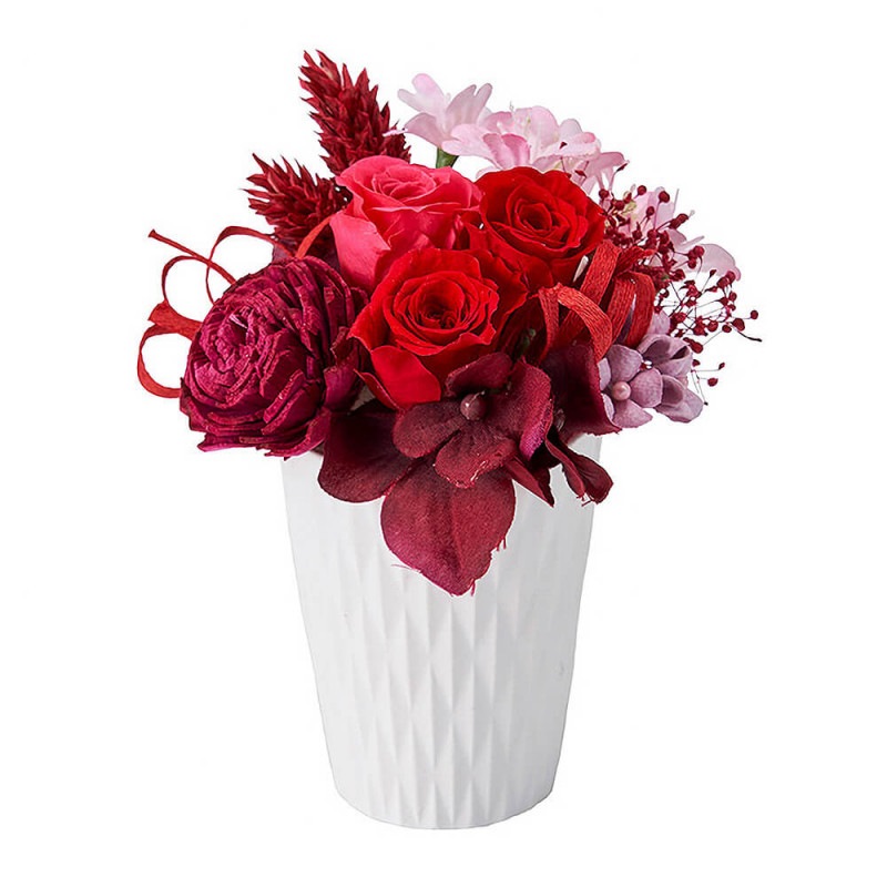 ����꡼�󡡥�åɡ�ZY006415-003�ڥץꥶ���֥ɥե���