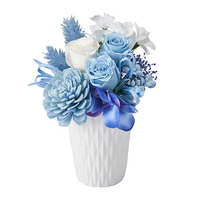 ����꡼�󡡥֥롼��ZY006415-005�ڥץꥶ���֥ɥե���