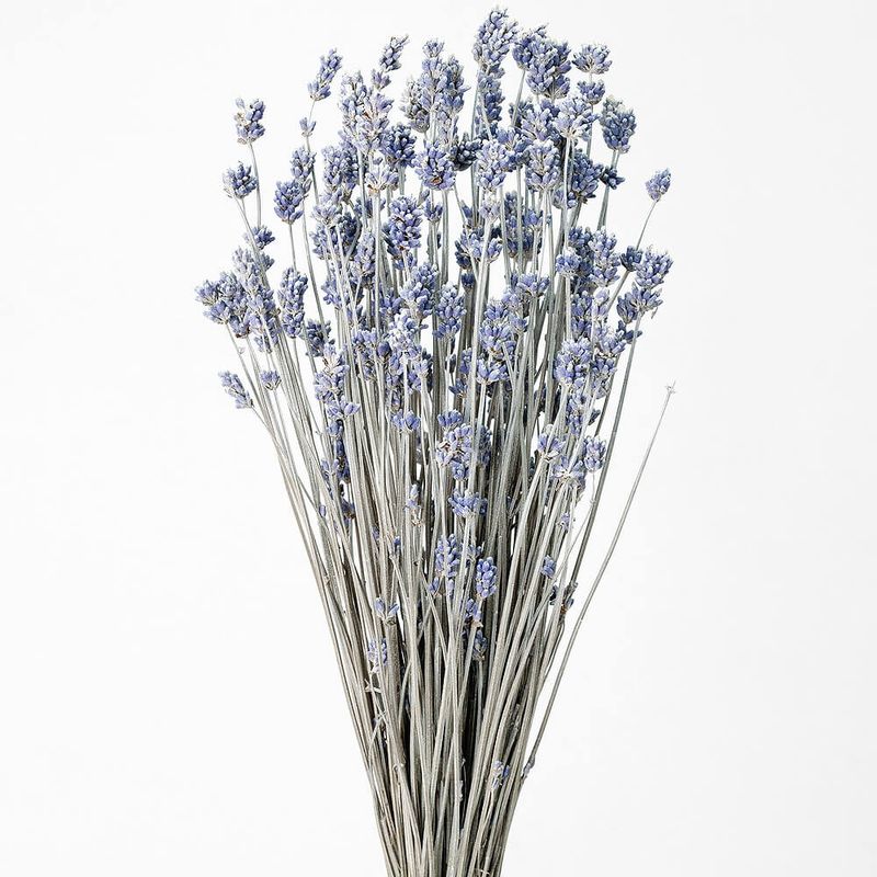 ٥ åۥ磻ȡDRO10020A-012ڥɥ饤ե