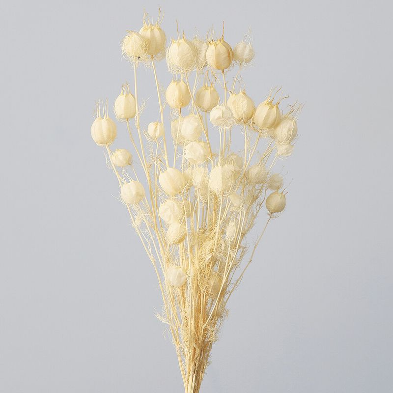 աݥԡեۥ磻ȡDRO10060-011ڥɥ饤ե