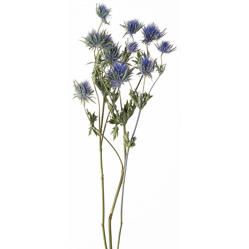 󥸥塼ࡦɥ饤NDRO10340-000ڥɥ饤ե