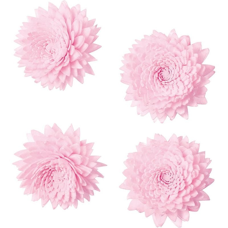 ѡĥ˥S 4PMCY-0549ڥɥ饤ե