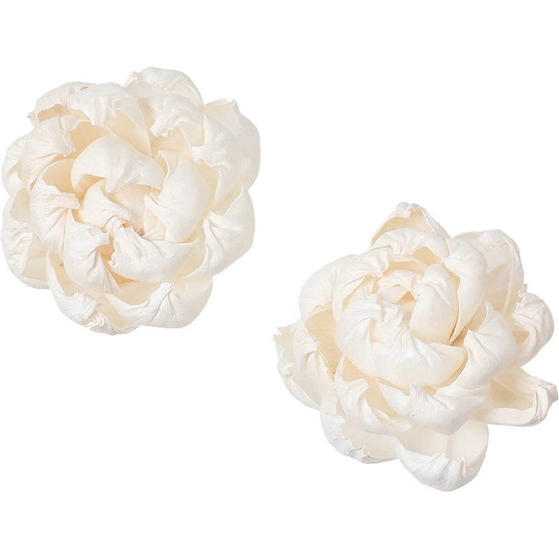 ѡĥܥ ९2PMCY-0551ڥɥ饤ե