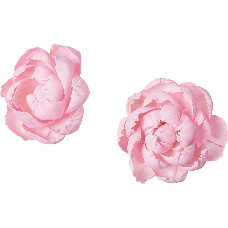 ѡĥܥ 2PMCY-0553ڥɥ饤ե