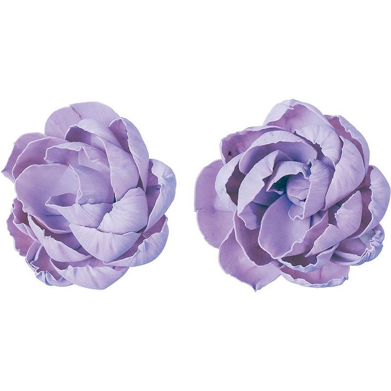 ѡĥܥ 饵2PMCY-0554ڥɥ饤ե