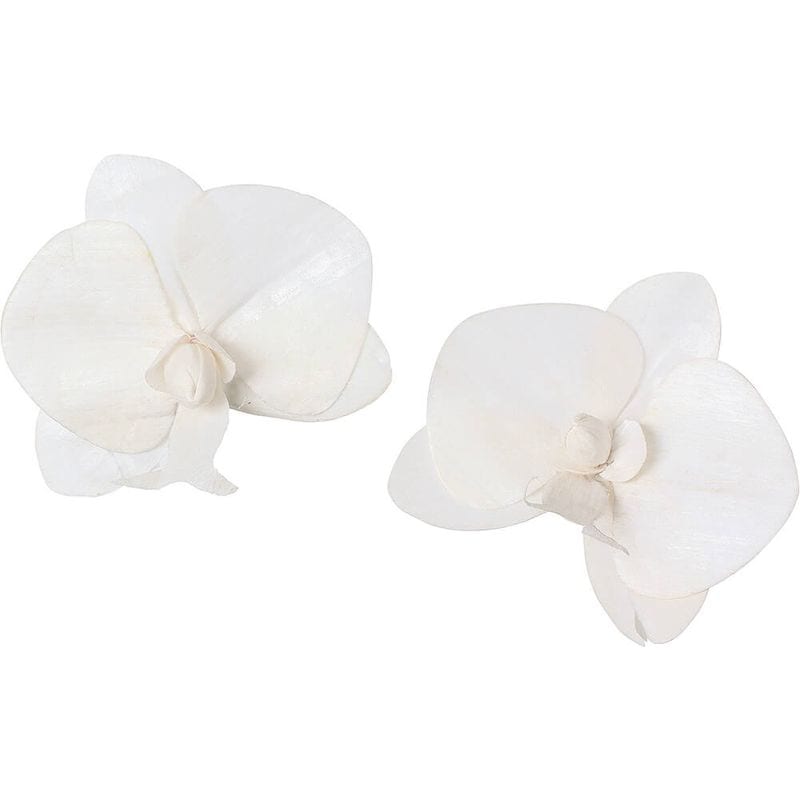 ѡĥ祦 ९2PMCY-0555ڥɥ饤ե