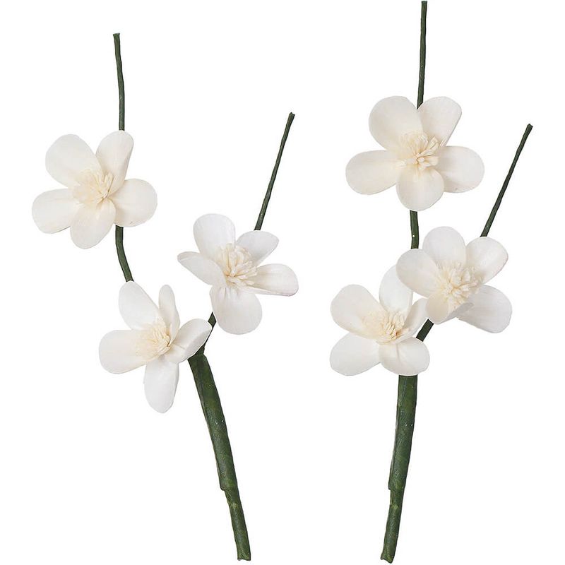 ѡĥ ९2PMCY-0557ڥɥ饤ե