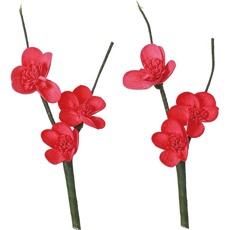 ѡĥ 2PMCY-0558ڥɥ饤ե