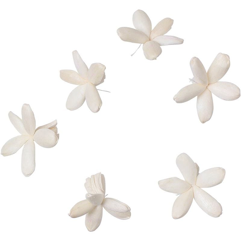 ѡĥХ ९6PMCY-0559ڥɥ饤ե