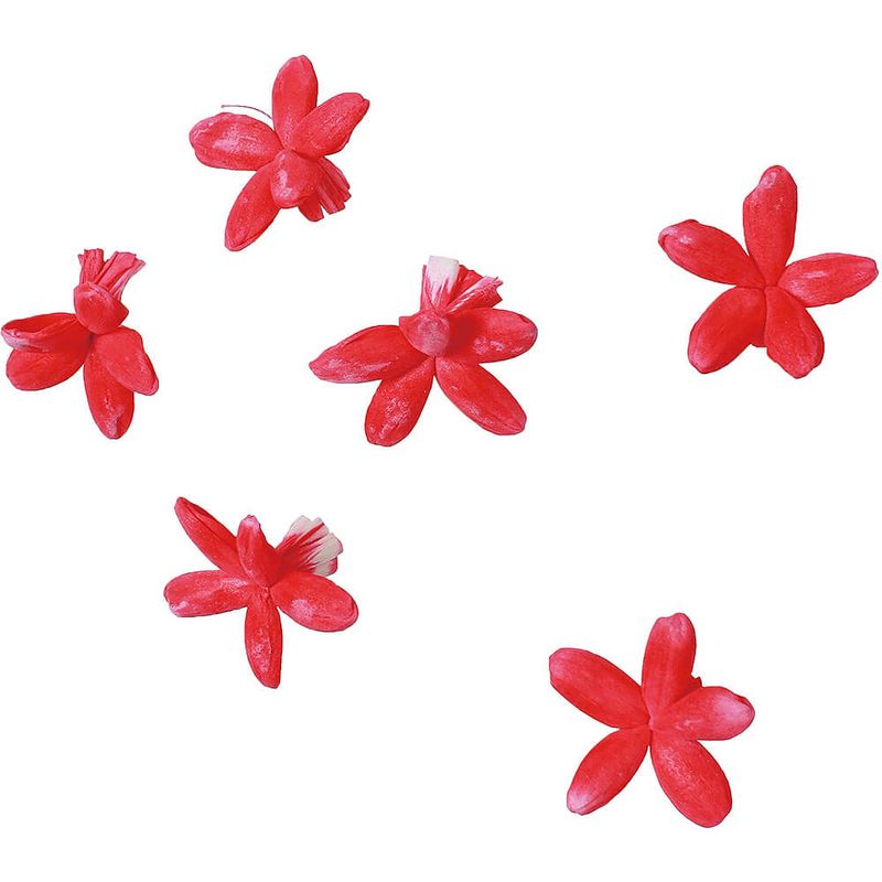 ѡĥХ 6PMCY-0560ڥɥ饤ե